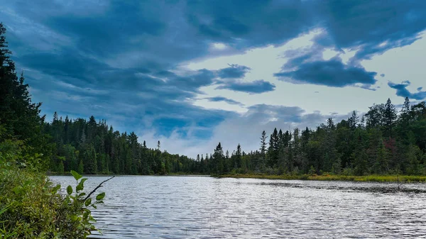 Bellissimo paesaggio primaverile con lago, alberi e cielo azzurro. Composizione della natura — Foto Stock