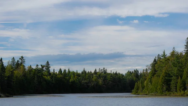 Güzel bahar peyzaj göl, ağaçlar ve mavi gökyüzü ile. Doğanın kompozisyon