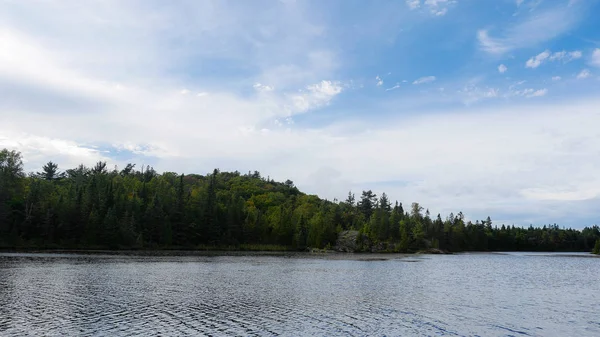 Güzel bahar peyzaj göl, ağaçlar ve mavi gökyüzü ile. Doğanın kompozisyon
