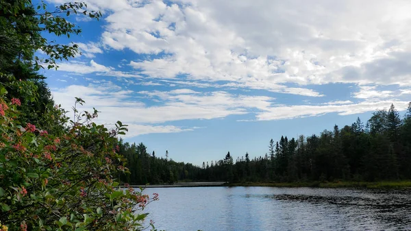 Güzel bahar peyzaj göl, ağaçlar ve mavi gökyüzü ile. Doğanın kompozisyon