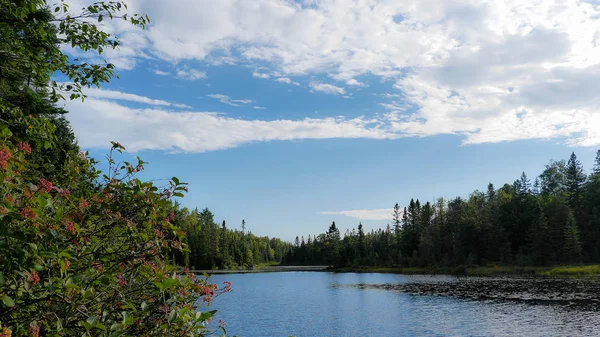 Güzel bahar peyzaj göl, ağaçlar ve mavi gökyüzü ile. Doğanın kompozisyon