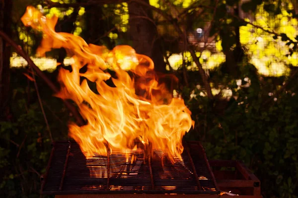 Barbecue fiamma vicino — Foto Stock