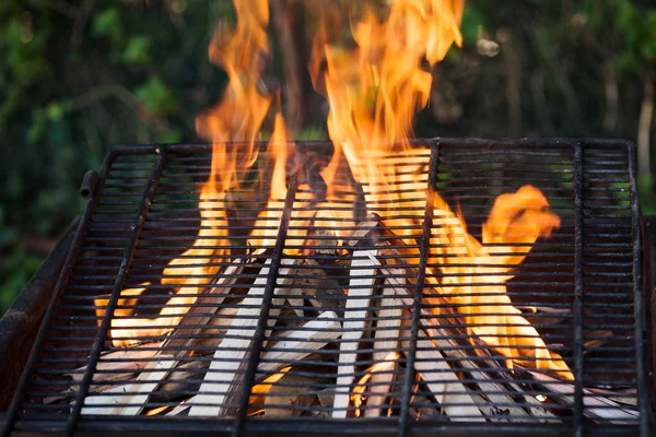 Płomień grill grilla Zamknij — Zdjęcie stockowe