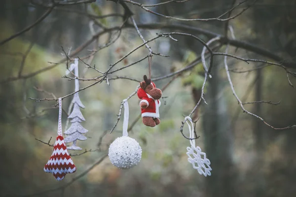 Decoración del árbol de Navidad colgando en la rama del árbol —  Fotos de Stock