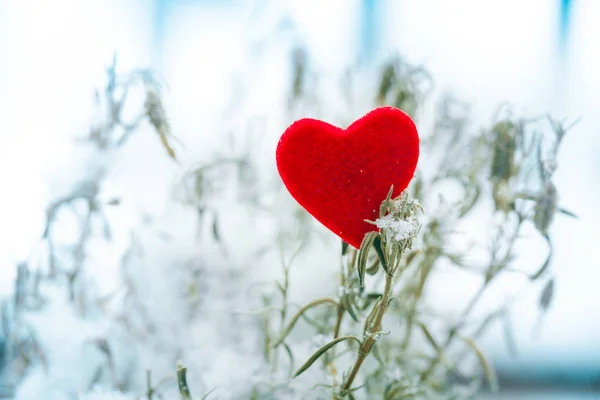Serce w śniegu symbol Walentynki — Zdjęcie stockowe