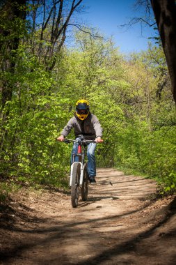 Adam dağ bisikleti orman yoluyla binmek