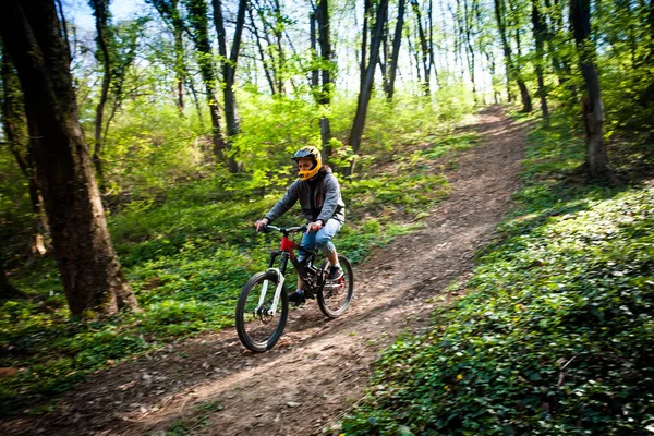 Hombre montar bicicleta de montaña a través del bosque — Foto de Stock