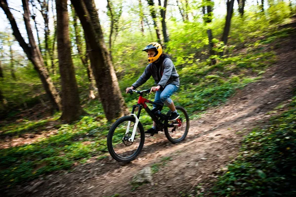 Man ride mountain bike through forest — Stock Photo, Image