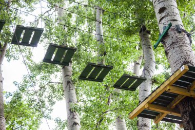 ağaç en iyi macera Parkı