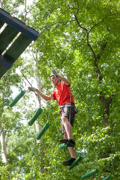 Hombre en el parque de aventura en la parte superior del árbol —  Fotos de Stock