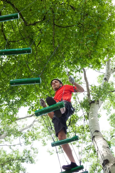 Homem no parque de aventura no topo da árvore — Fotografia de Stock