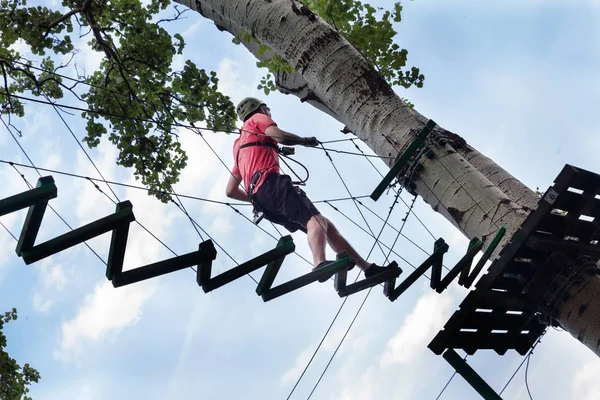 Homme dans le parc d'aventure sur le sommet de l'arbre — Photo