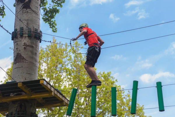 Hombre en el parque de aventura en la parte superior del árbol —  Fotos de Stock