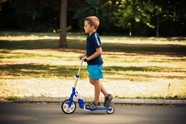 Malý chlapec na koni scooter v parku — Stock fotografie