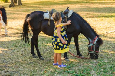 küçük kız evde beslenen hayvan midilli at açık park 