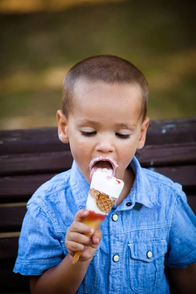 küçük çocuk dondurma yemek parkta yaz gün  