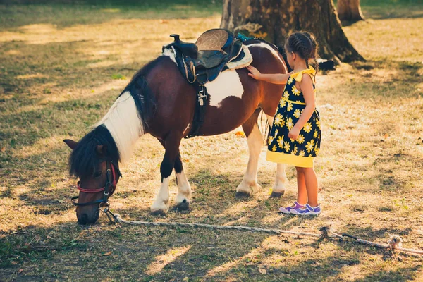 Bambina animale domestico pony cavallo all'aperto nel parco — Foto Stock