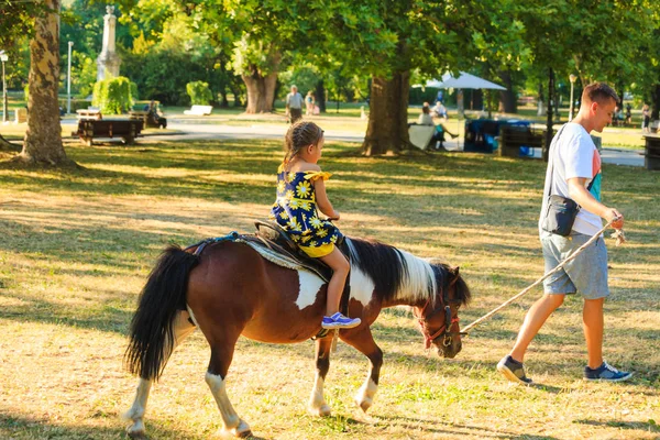 Ojciec wziąć jego mały pozostałe na przejażdżkę na koń kucyk w parku — Zdjęcie stockowe