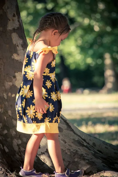 Bambina in carino vestito estivo passeggiata nel parco da un albero enorme — Foto Stock