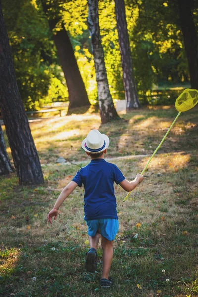 Petit garçon avec chapeau et filet papillon courir dans le bois ou parc arrière v — Photo