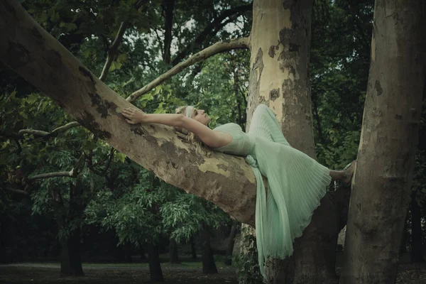 Hübsche junge blonde Frau in romantischem Kleid liegt auf Baum Sommer — Stockfoto