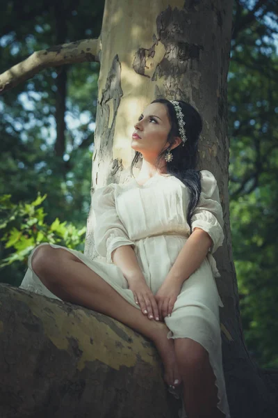 Hübsche junge Frau in romantischem Kleid sitzt auf Baum in Holz — Stockfoto