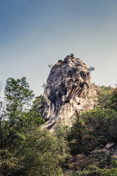büyük uçurum ağaçlar yatay yükselir