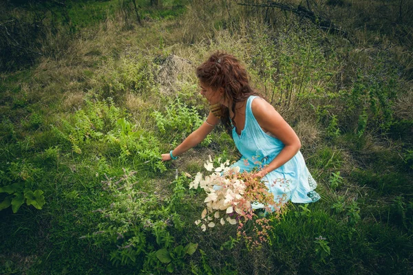 Jovem mulher pegar ervas e flores em limpo selvagem montanha meado — Fotografia de Stock