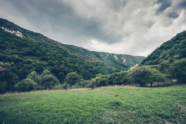 Зелена долина і деревина в гірській місцевості — стокове фото