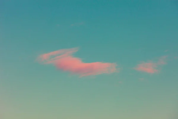 Small pink cloud on sky background — Stock Photo, Image