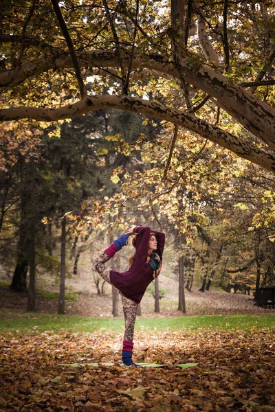 Jeune femme pratique le yoga en plein air dans le parc automne jour équilibre pos — Photo