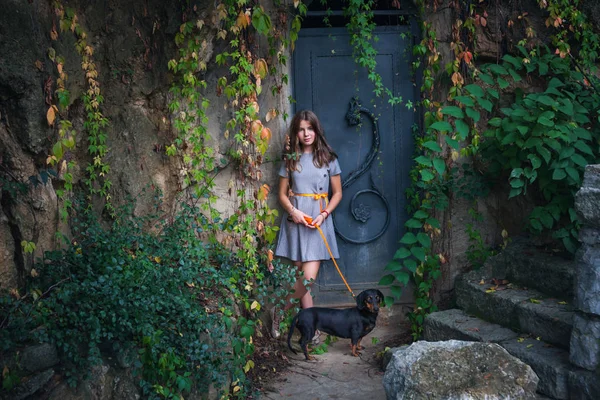 Teenie-Mädchen im Kleid mit Dackelhund gegen alte Metalltür — Stockfoto