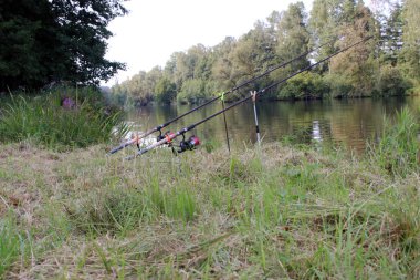 Kızarmış balık Balık tutma