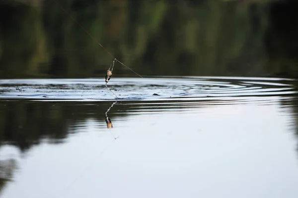 Angeln auf gebratenem Fisch — Stockfoto