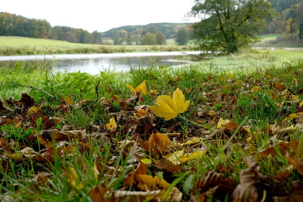 가을은 아주 좋은 계절입니다. — 스톡 사진