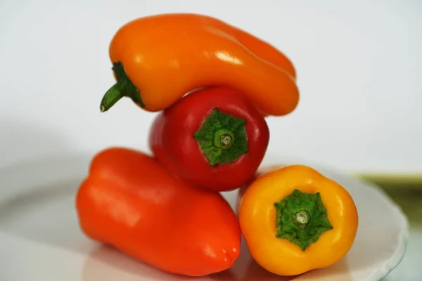 Small Peppers Different Colors Shapes — Stock Photo, Image