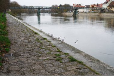 Bu çok eski bir kasabada Regensburg çeşitli eski kiliseler vardır