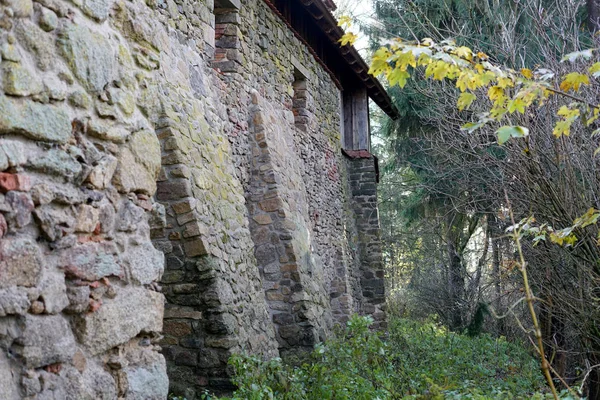 Μεσαιωνικό Κάστρο Πολύ Καλή Κατάσταση Στο Falkenfels Στη Βαυαρία — Φωτογραφία Αρχείου