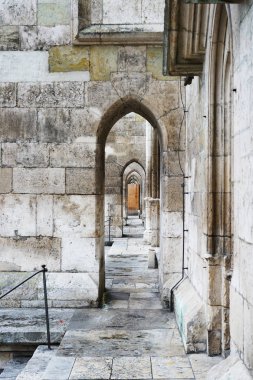 Regensburg'da Sankt Peter Katedrali 