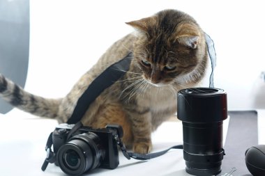 Aynasızlar sistem fotoğraf makinesi detay resimlerini