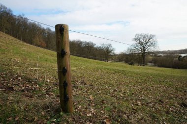 Walhalla görünümünden Donaustauf, Tuna