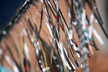 Bavyera bir karnaval geçit sırasında renkli telaş