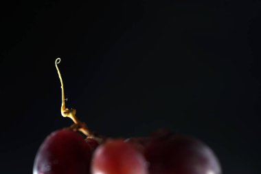 Arka plan görüntüsü olarak süslü donmuş su damlaları