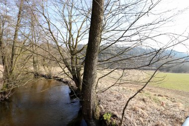 Kamu de park Almanya'da kurtarmak için yaz aylarında yapılmaktadır.
