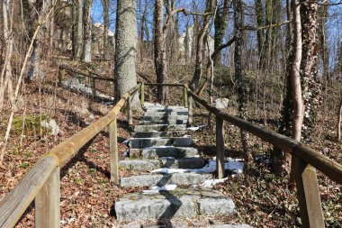 Güneşli bir günde yok yeşillik ile kışın fotoğraflandı ağaçlar