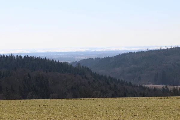 Esta Uma Floresta Agulhas Baviera Inverno — Fotografia de Stock