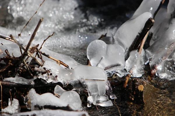 Frozen Brook Winter Bavaria — Stock Photo, Image