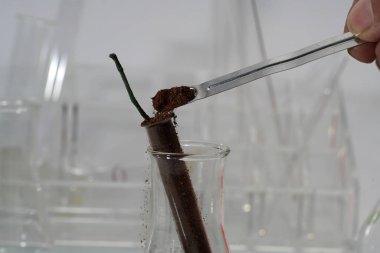 Havai fişek laboratuarda yapı kendiniz