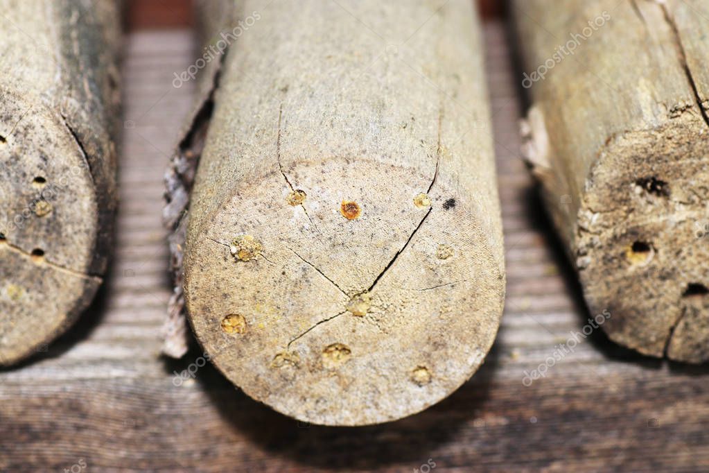 Punta A Gradini 6-60 Mm 12 Misure - Per Forare Metallo, Legno E Plastica, Codolo 12 Mm - Foto 3