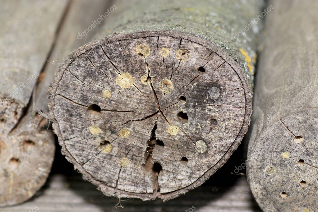 Punta A Gradini 6-60 Mm 12 Misure - Per Forare Metallo, Legno E Plastica, Codolo 12 Mm - Foto 4